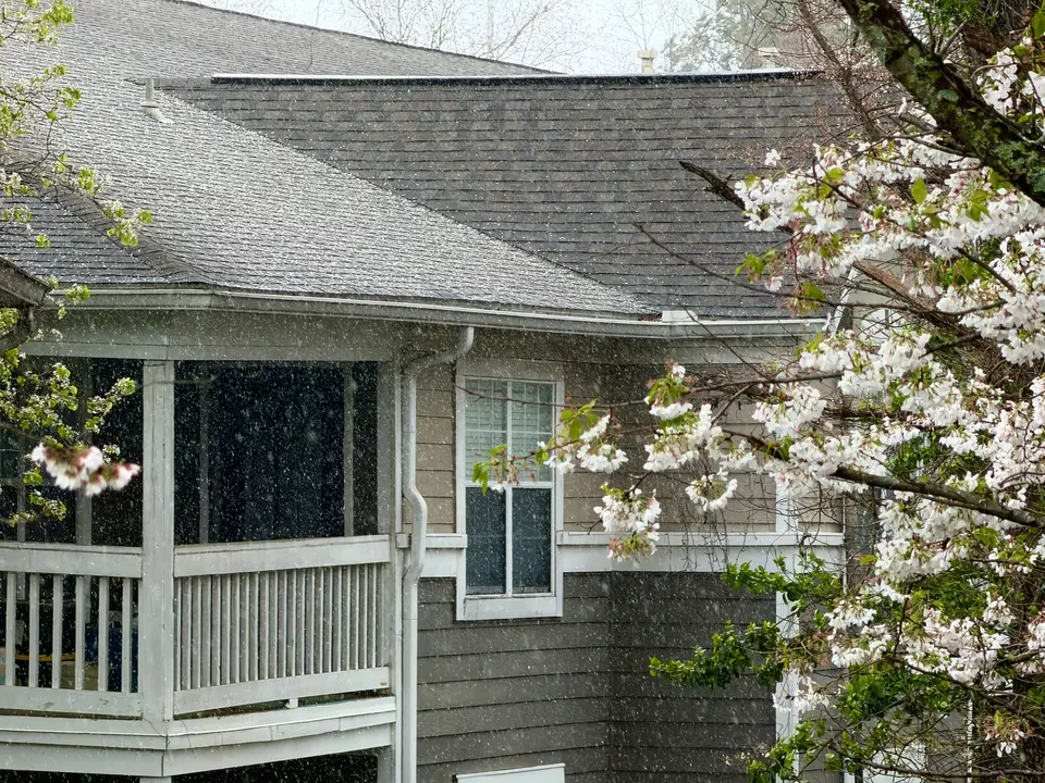 Mold Remediation Green Cove Springs